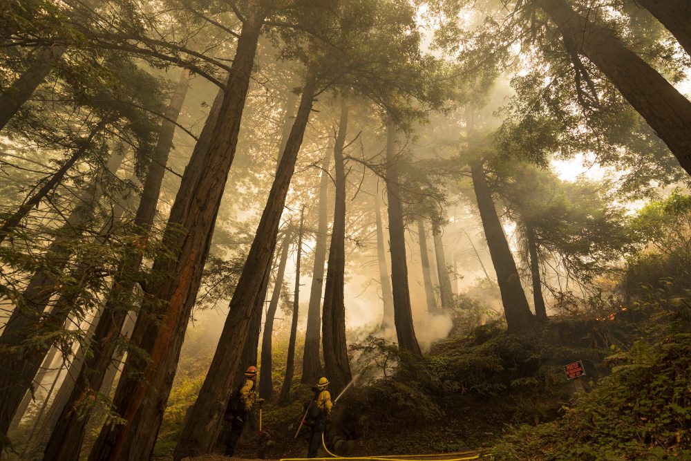 APTOPIX_California_Wildfires_85311
