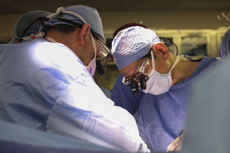 Pig Kidney Transplant